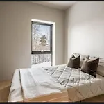 New House In The Center Of 2