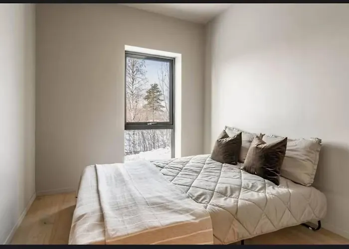 New House In The Center Of 2